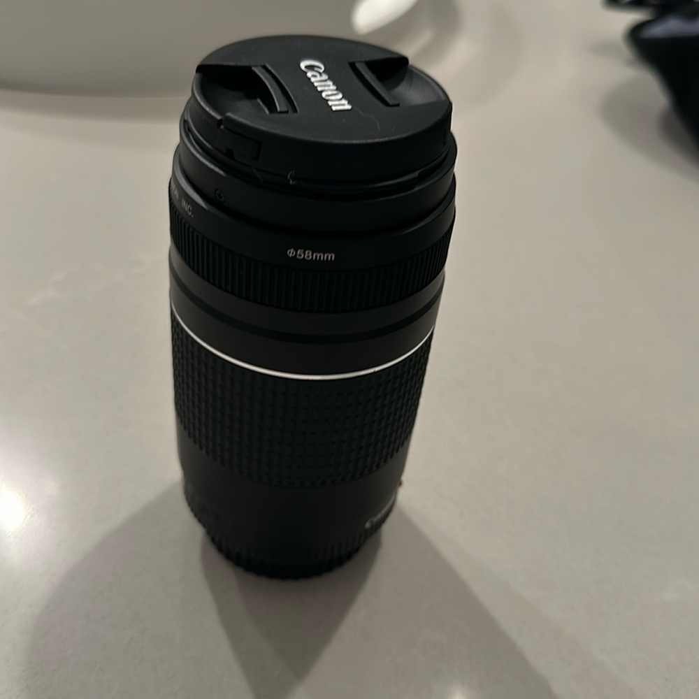Canon EF Series 75-300mm f/4-5.6 III Telephoto Zoom Lens